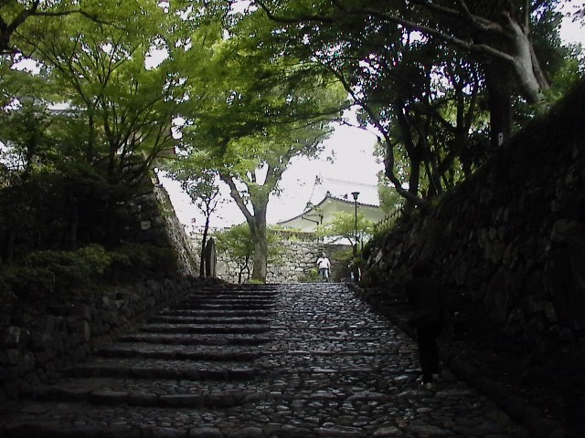 inuyamajo-20090726-0518