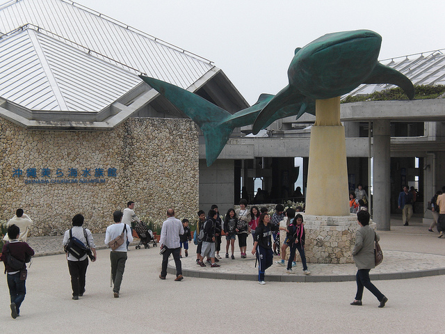 美ら海水族館