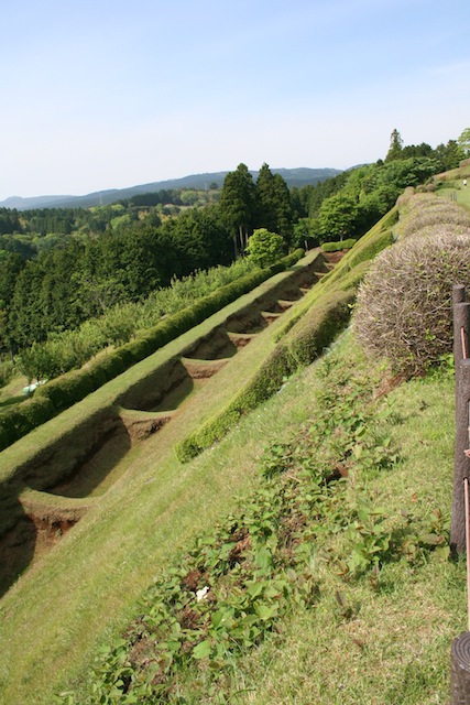 山中城