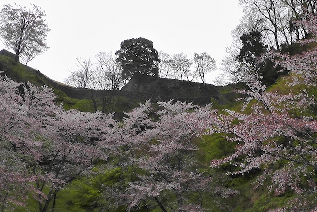 岡城