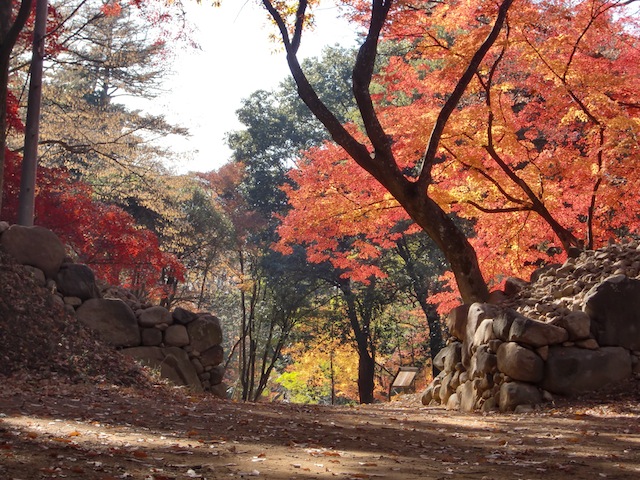 武田氏館写真1