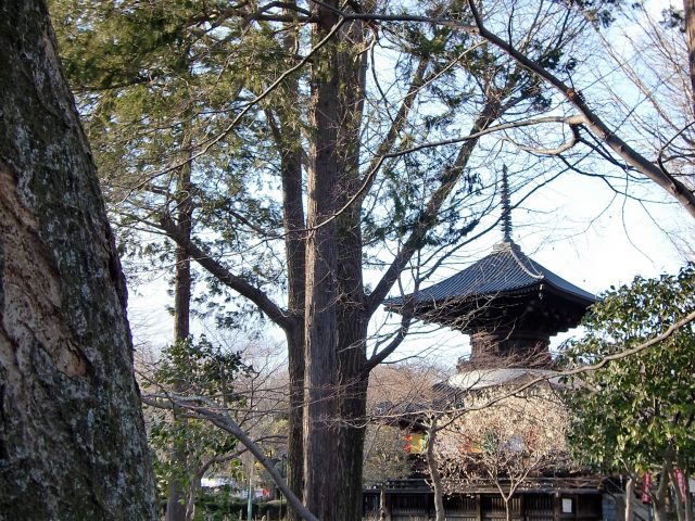 足利氏館（鑁阿寺）写真3